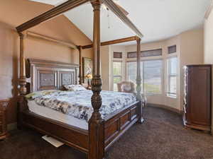 Spacious bedroom featuring brown wall tones and dark brown carpeting