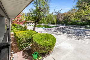 View of patio
