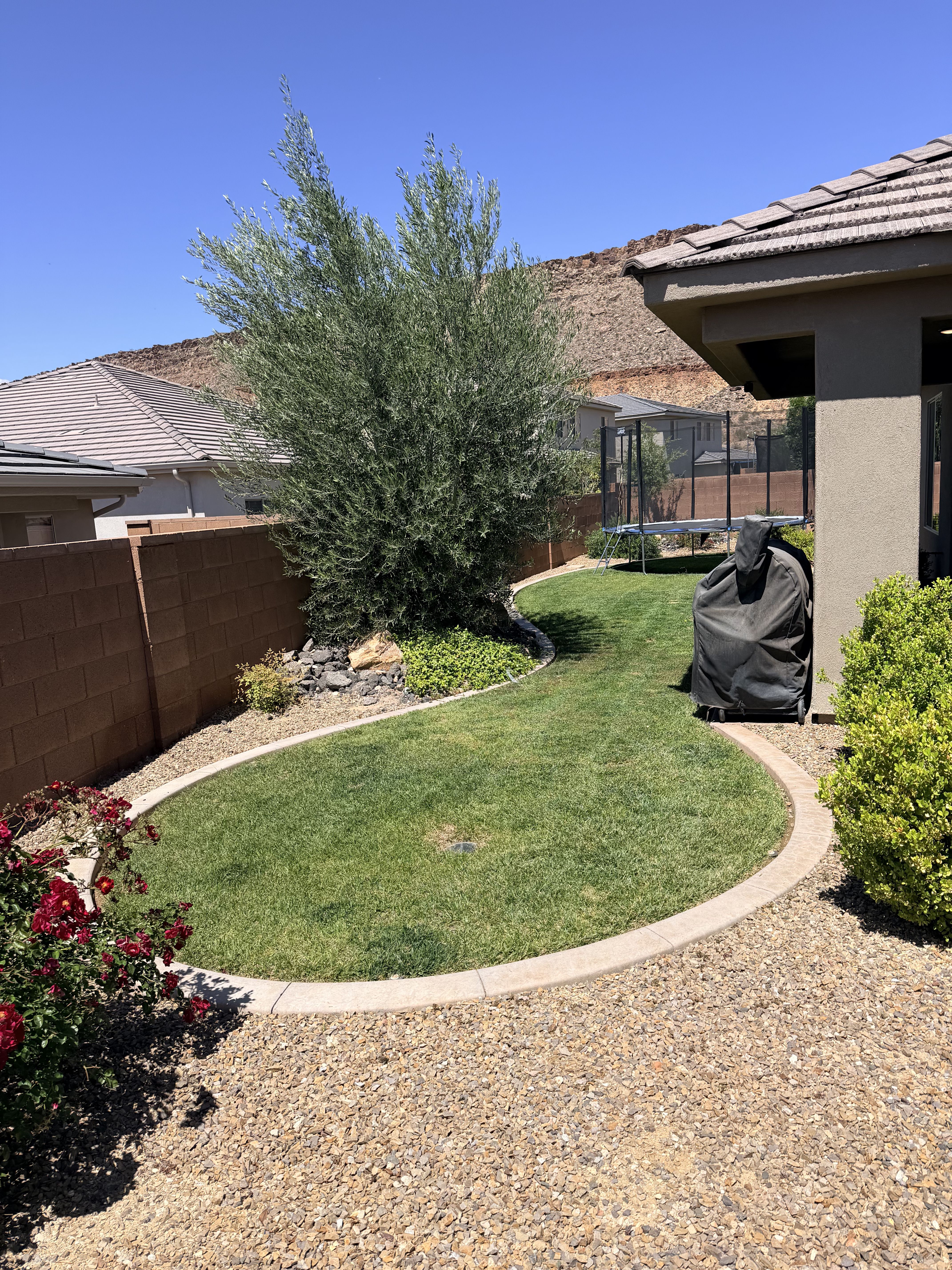 Fenced backyard with a trampoline