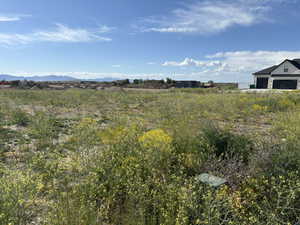 View of yard with a mountain view