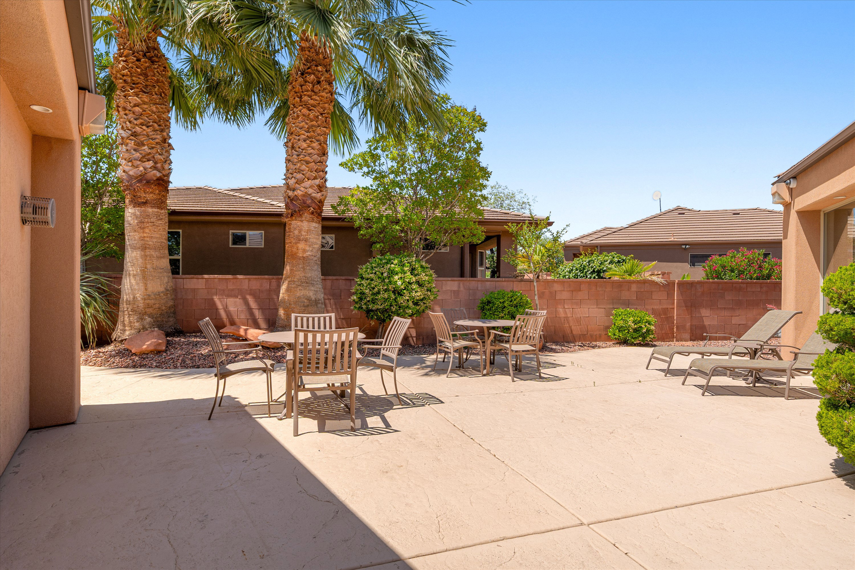 Expansive concrete patio area featuring mature palm trees and established landscaping