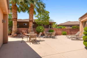 Expansive concrete patio area featuring mature palm trees and established landscaping