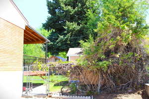 View of yard featuring a gate and a shed