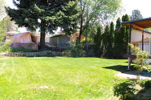 View of back yard with a patio area