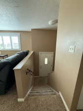 Carpeted stairs leading to a lower level door with an ornate glass insert