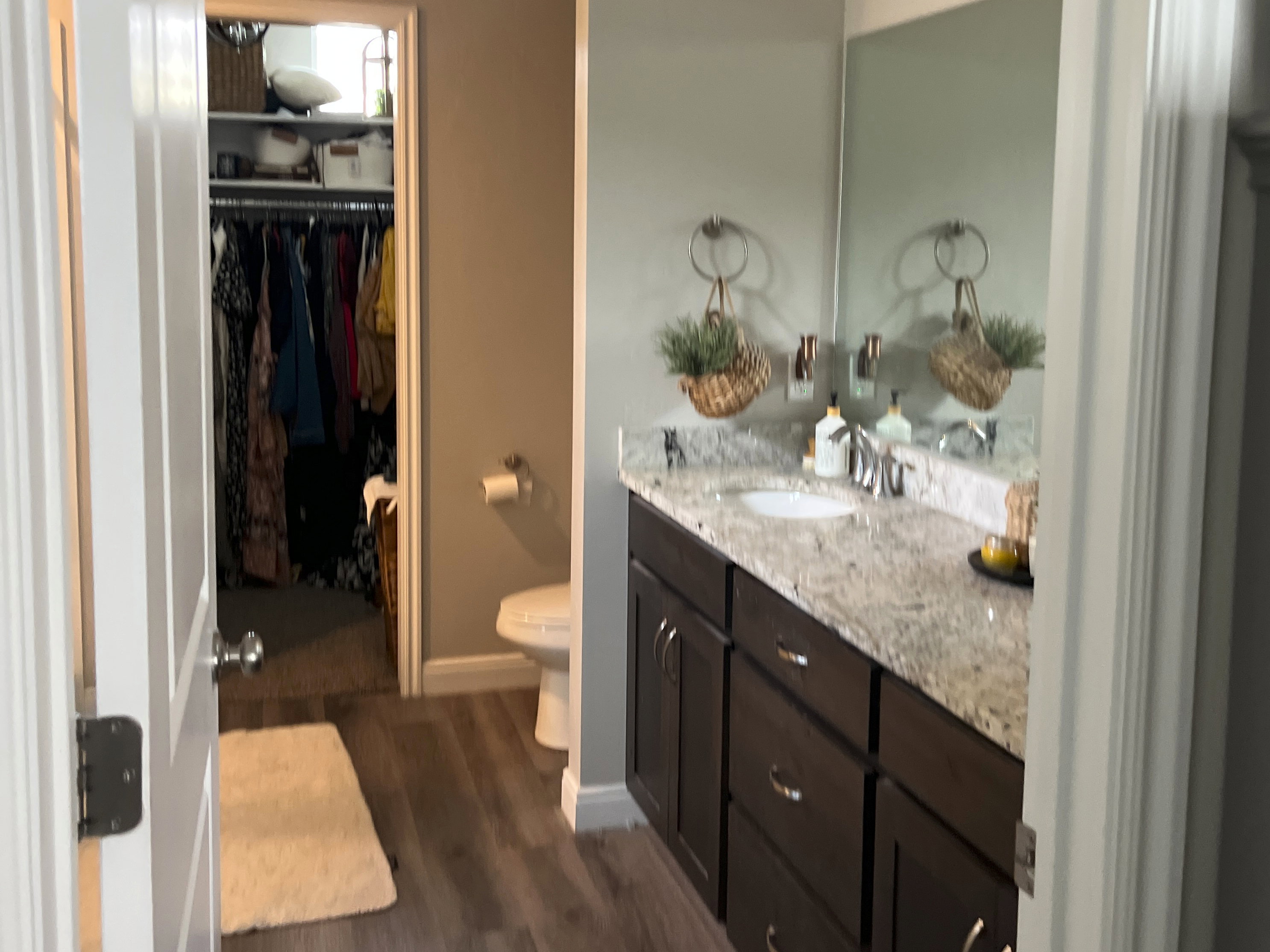 Bathroom featuring vanity, a spacious closet, dark wood finished floors, and hanging lights