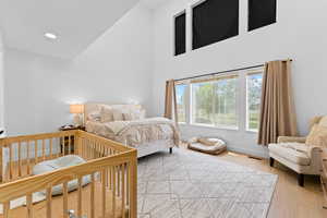 Bedroom featuring a high ceiling and wood finished floors