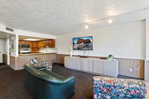 Living area featuring a kitchen pass-through with wood cabinetry, track lighting, and wainscoting