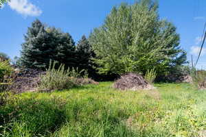 Expansive green space featuring a variety of mature trees and natural shrubbery