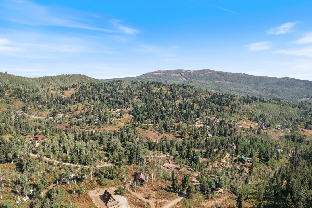 Expansive mountain landscape featuring varied tree cover and multiple scattered properties