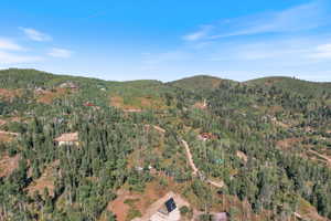 Mountainous terrain with dense tree coverage and scattered residential structures