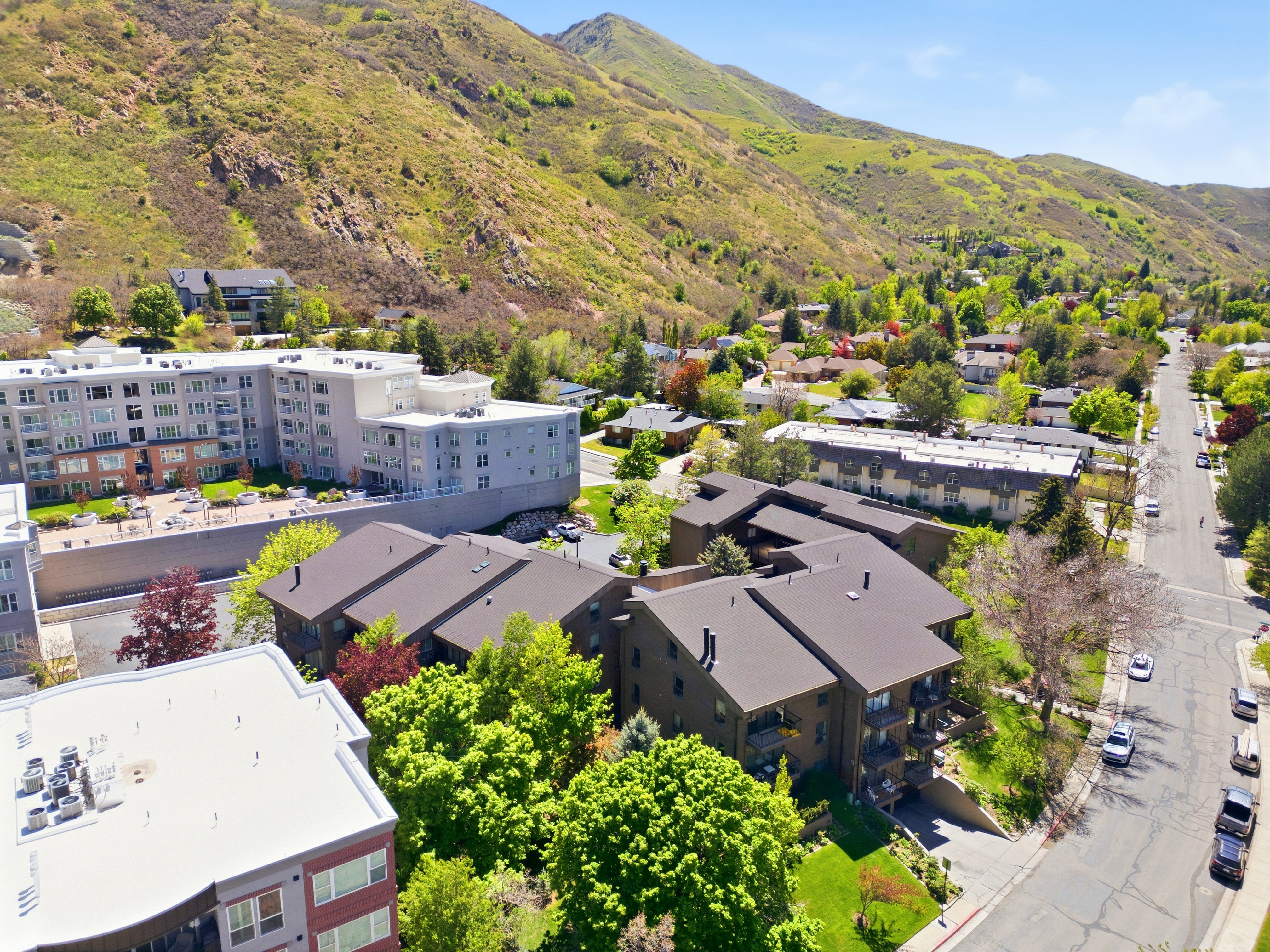 Residential buildings featuring balconies, mature trees, and street parking, set against a mountain backdrop
