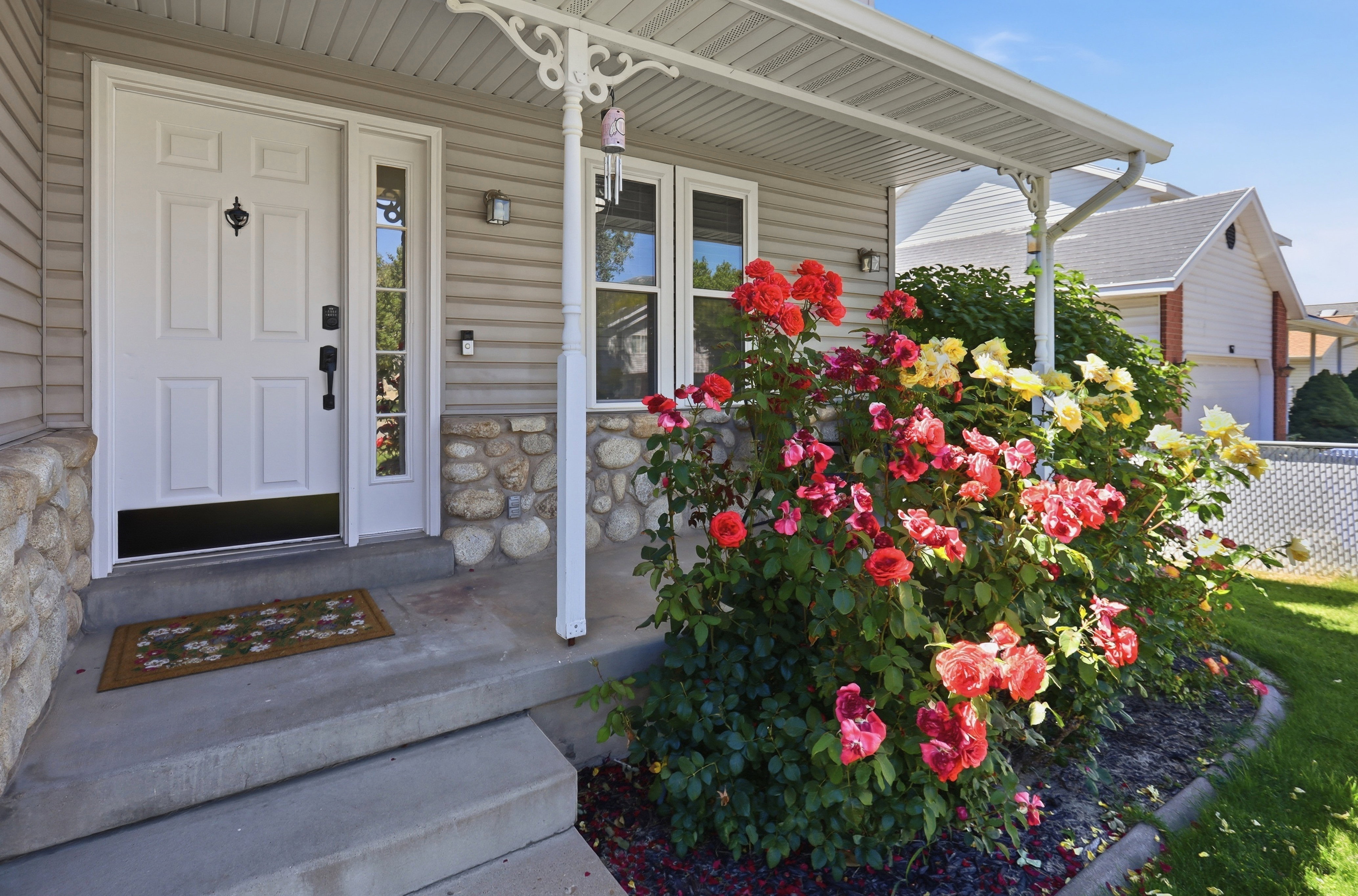Inviting front entry featuring a paneled door with a sidelight, covered porch, concrete steps, stone veneer accents, and vibrant rose bushes