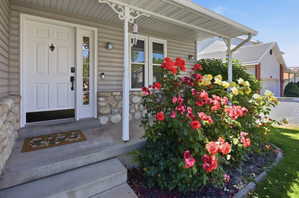 Inviting front entry featuring a paneled door with a sidelight, covered porch, concrete steps, stone veneer accents, and vibrant rose bushes