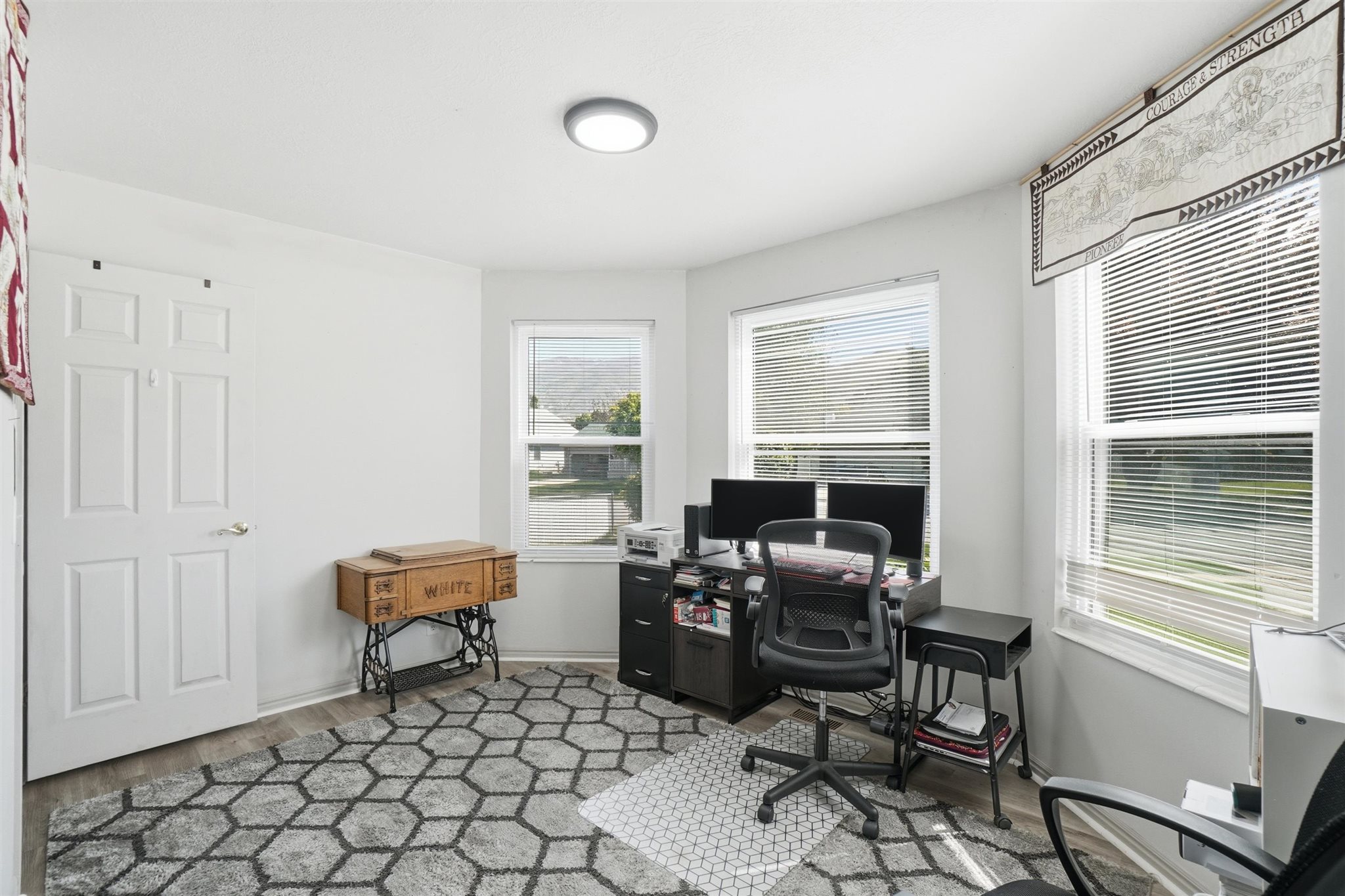 Bright room with multiple windows, wood-finish flooring, a white six-panel door, and a flush-mount ceiling light fixture