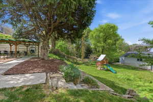 View of green lawn with a playground