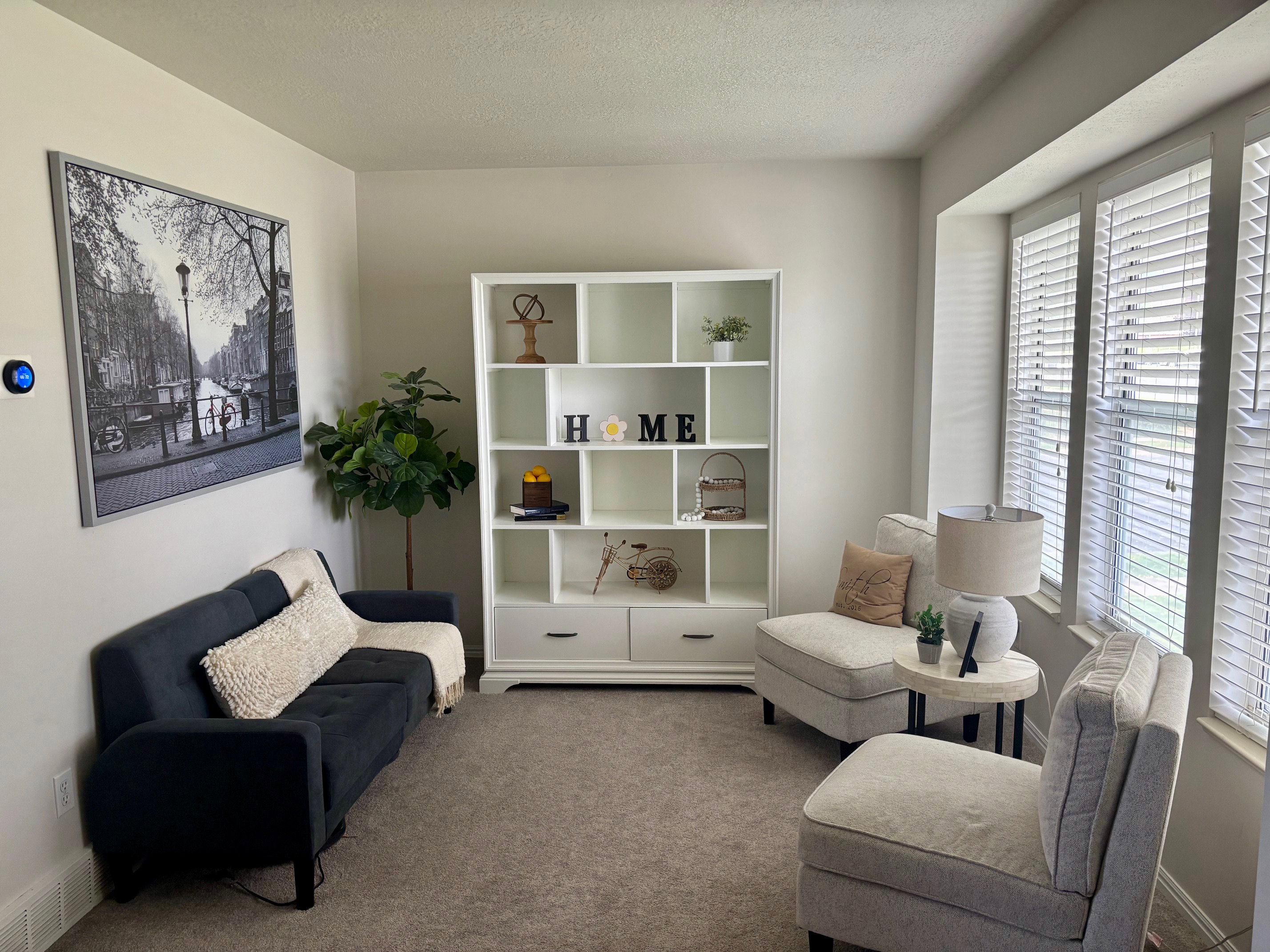 Carpeted living area featuring multiple windows with blinds, a built-in white bookshelf with lower drawers, and light-toned wall finishes