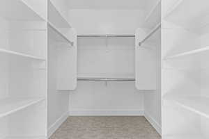 Walk-in closet featuring built-in shelving, chrome hanging rods, white trim, and light-colored carpet flooring