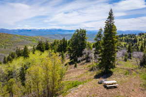 Expansive mountain property featuring varied tree coverage and distant snow-capped peaks