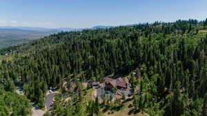 Mountain-style residence nestled within a dense forest, featuring a prominent brown roof and stone accents