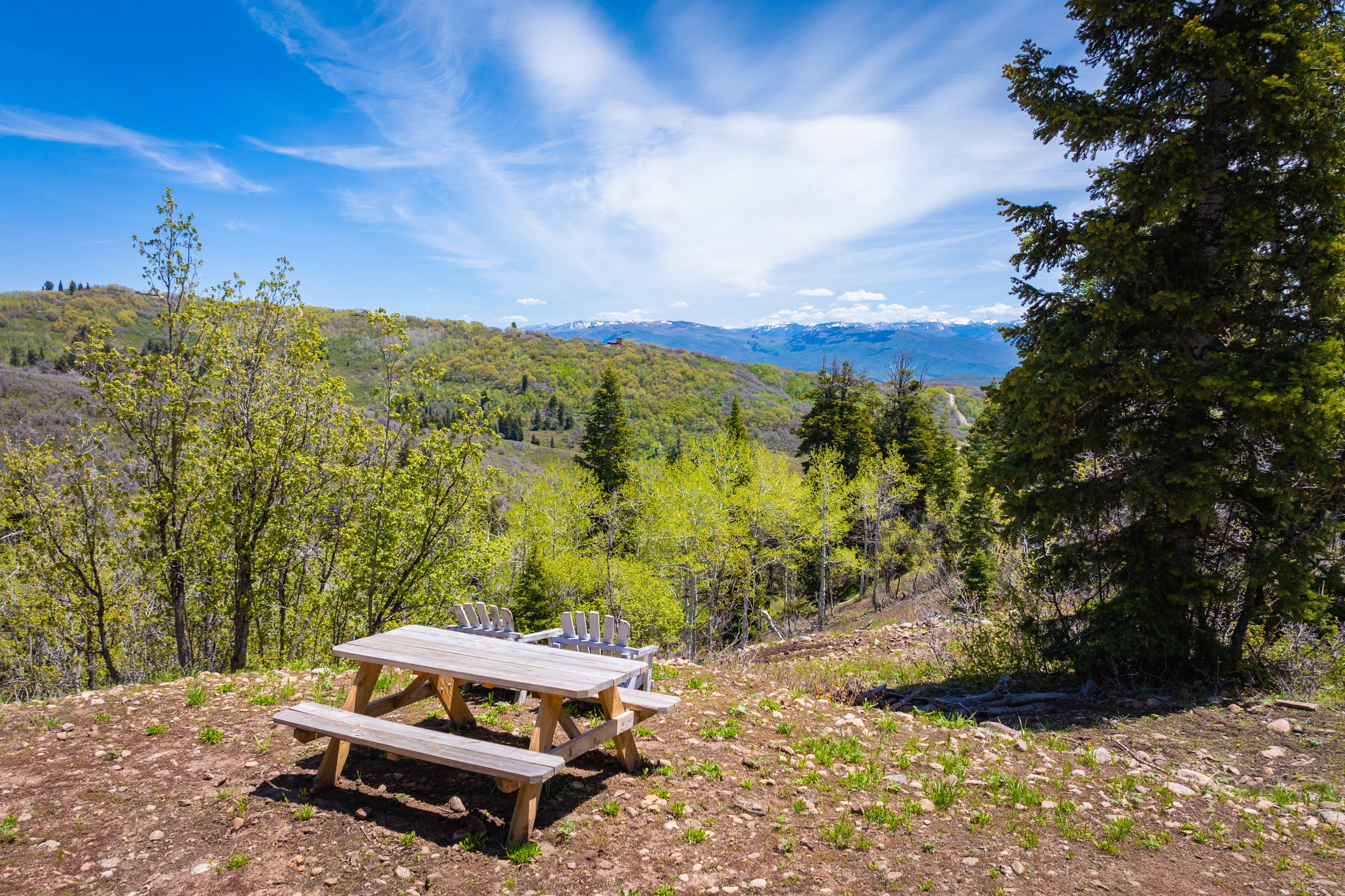 Mountainous landscape featuring evergreen trees and distant snow-capped peaks