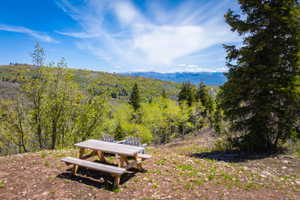 Mountainous landscape featuring evergreen trees and distant snow-capped peaks