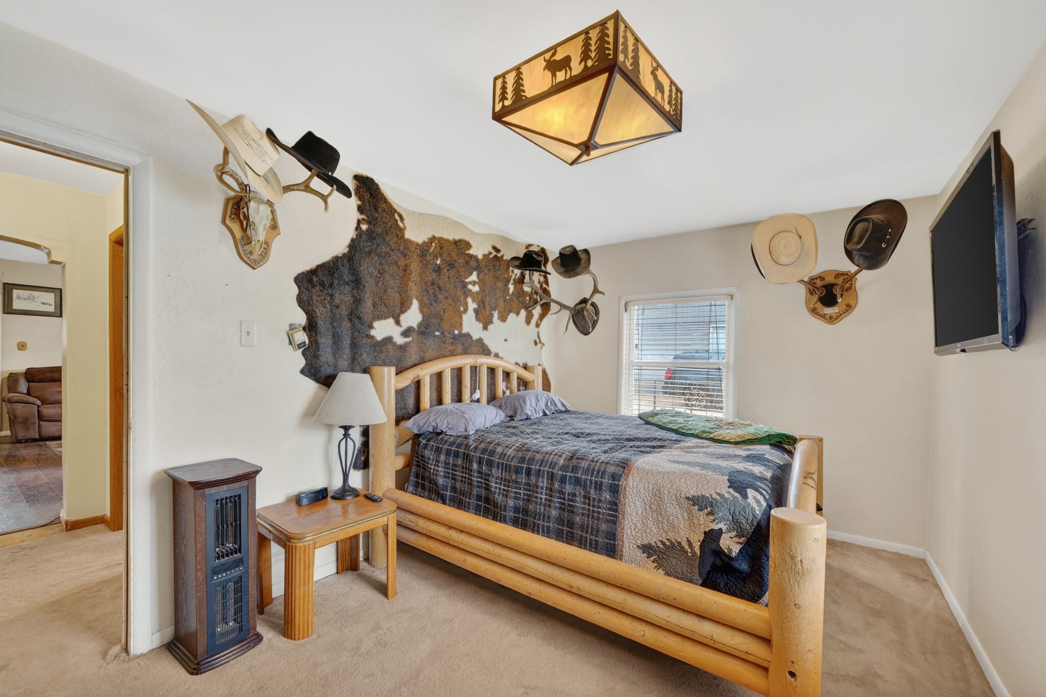Windowed interior room with neutral-toned carpet flooring and a rustic-inspired ceiling light fixture