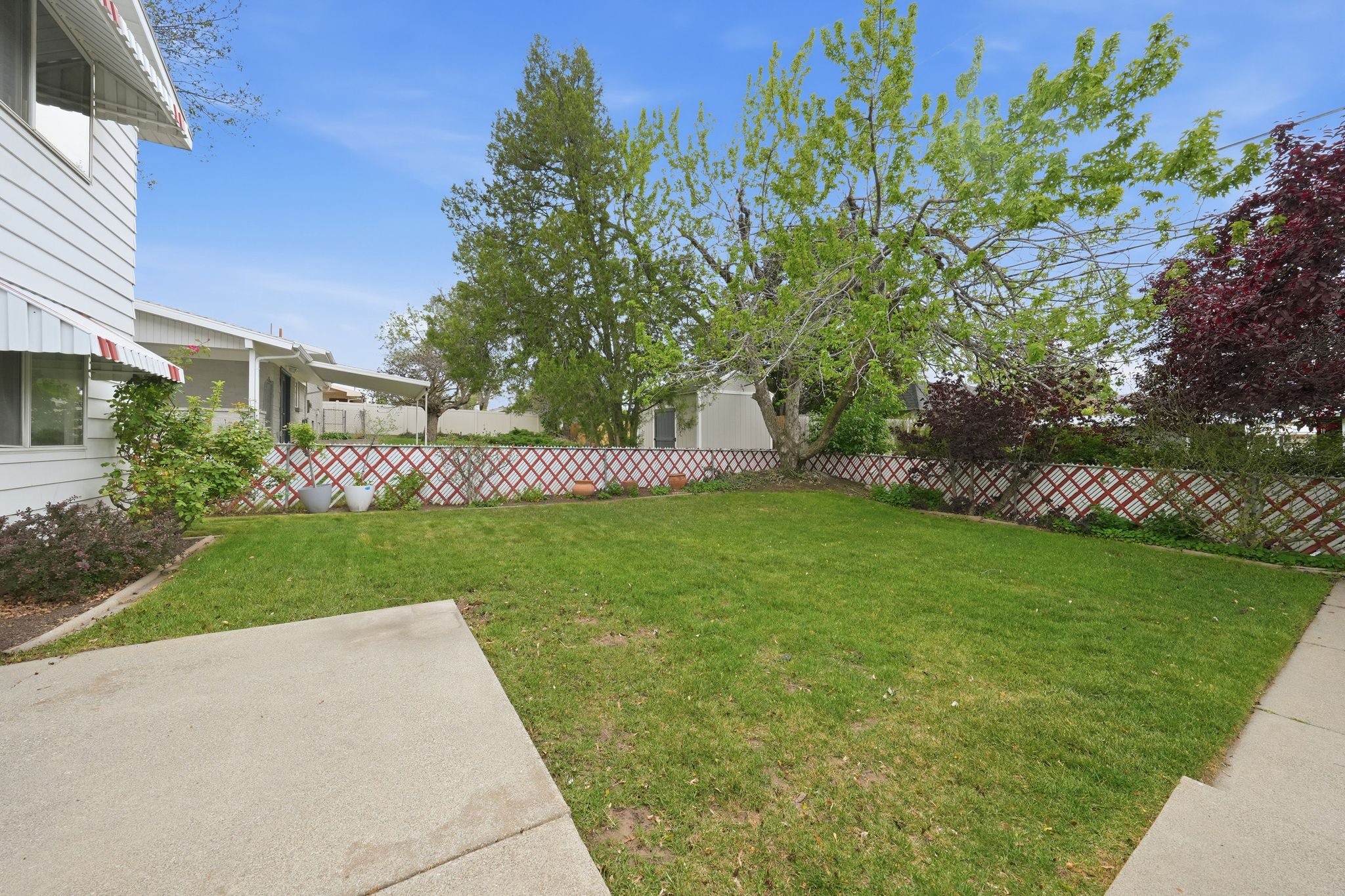 Expansive lawn area featuring a decorative lattice fence and mature trees