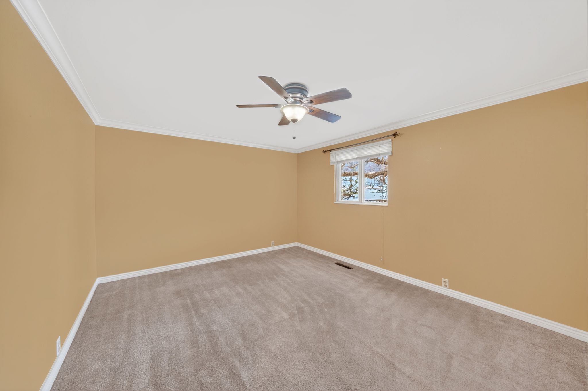 Carpeted room featuring a ceiling fan with integrated lighting, a single window, and crown molding