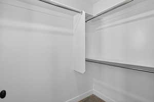 Walk-in closet featuring white painted walls, chrome hanging rods, built-in shelving, and carpet flooring