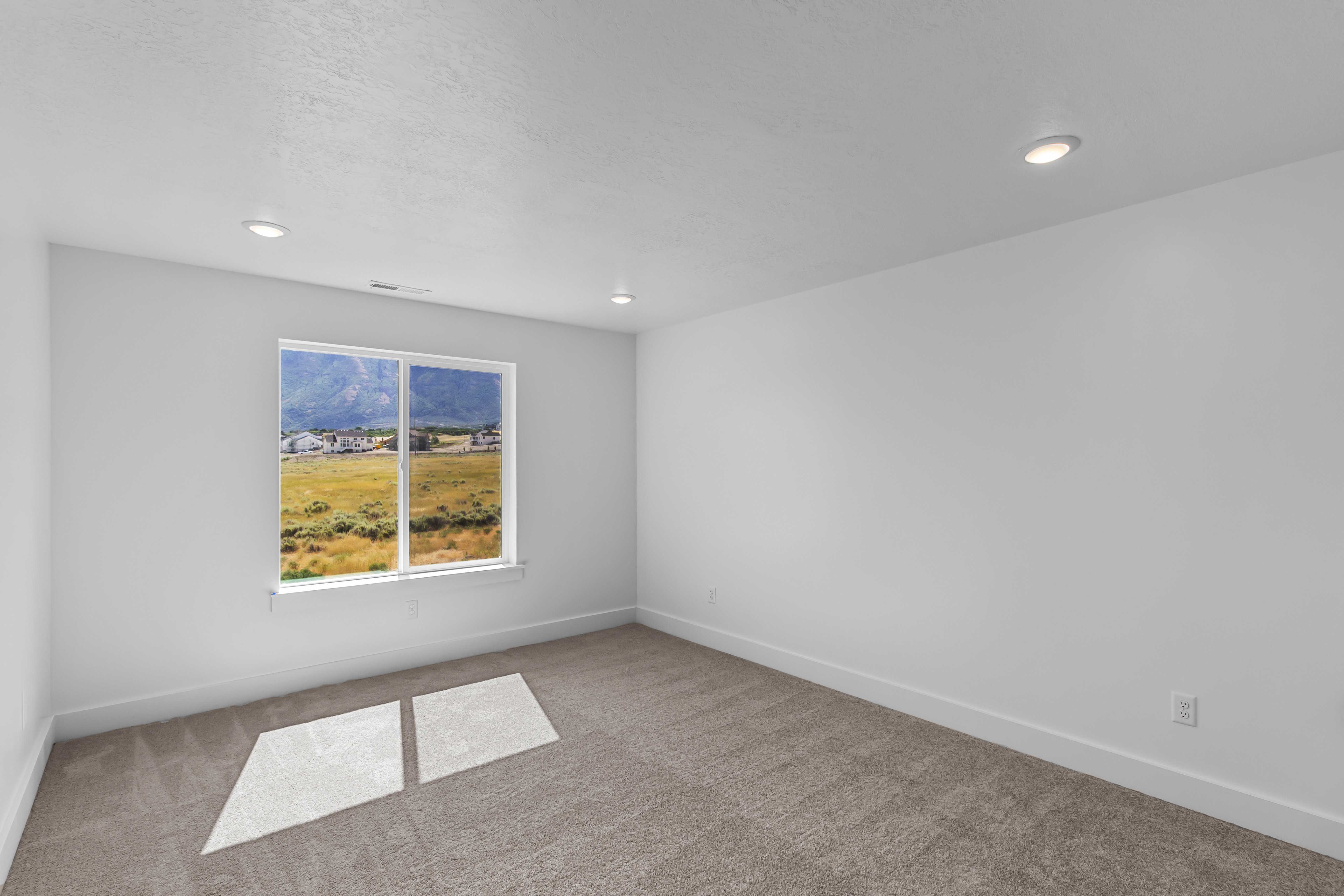 Room featuring recessed lighting, a white trim window, and neutral carpet flooring