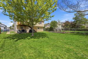 Expansive backyard featuring a large green lawn, mature trees, and a raised wooden deck with stairs to ground level