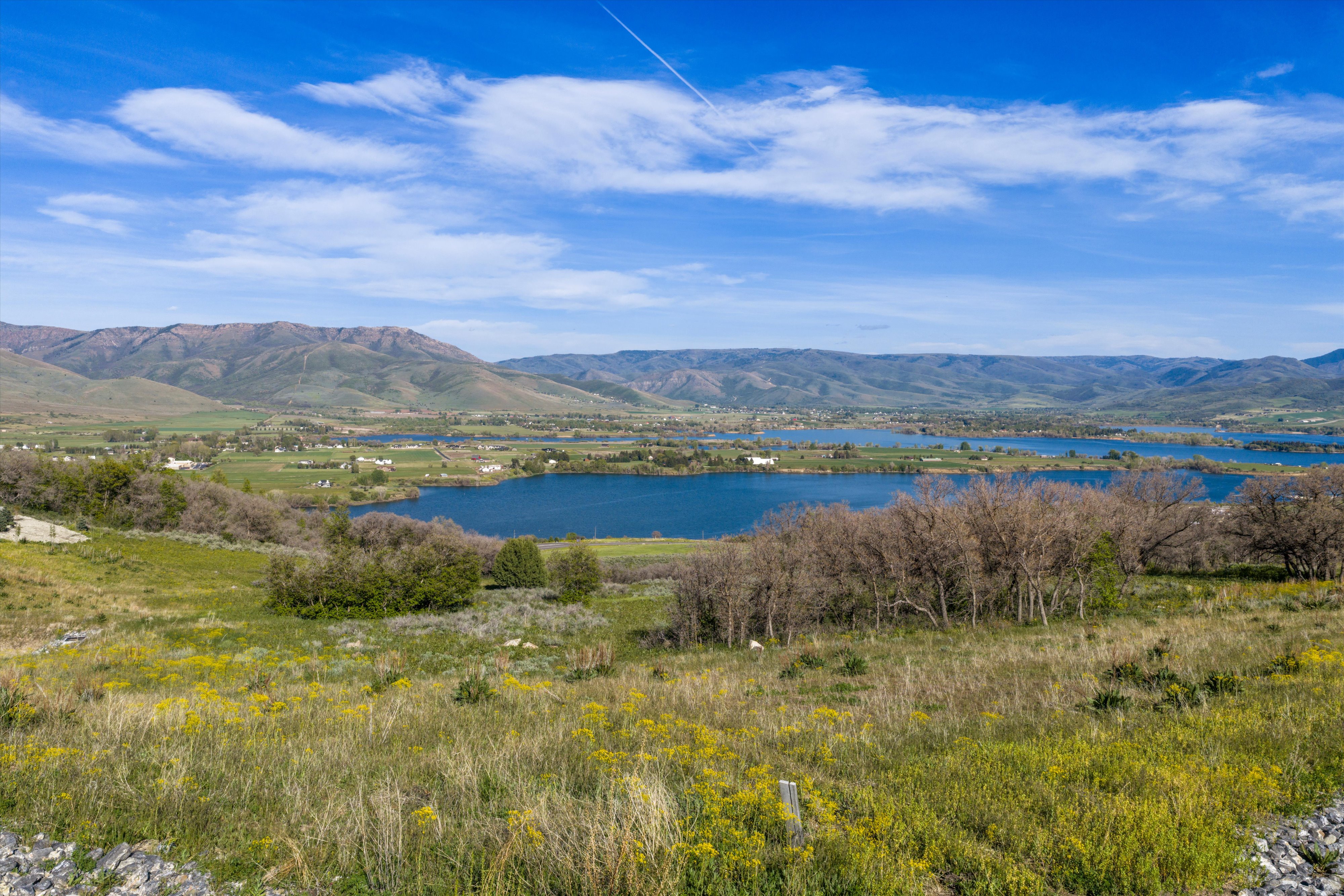Expansive landscape featuring distant mountains, multiple bodies of water, and a foreground of natural grasses and varied foliage