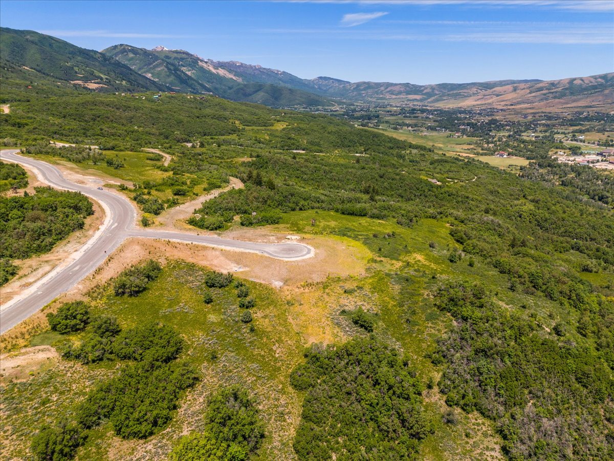 Drone / aerial view of a mountain backdrop