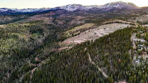 Expansive mountain property featuring dense evergreen forests and distant snow-capped peaks