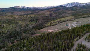 Expansive mountain property featuring significant tree coverage and open clearings