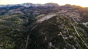 Expansive mountainous landscape featuring dense evergreen forests and distant snow-capped peaks