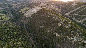 Expansive mountain landscape featuring dense evergreen forests and rolling terrain