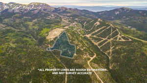 Expansive mountain property featuring mature trees and varied topography