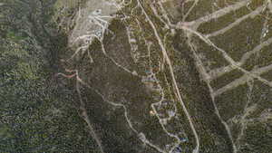 Aerial Property Survey. Depicting land parcels and tree cover