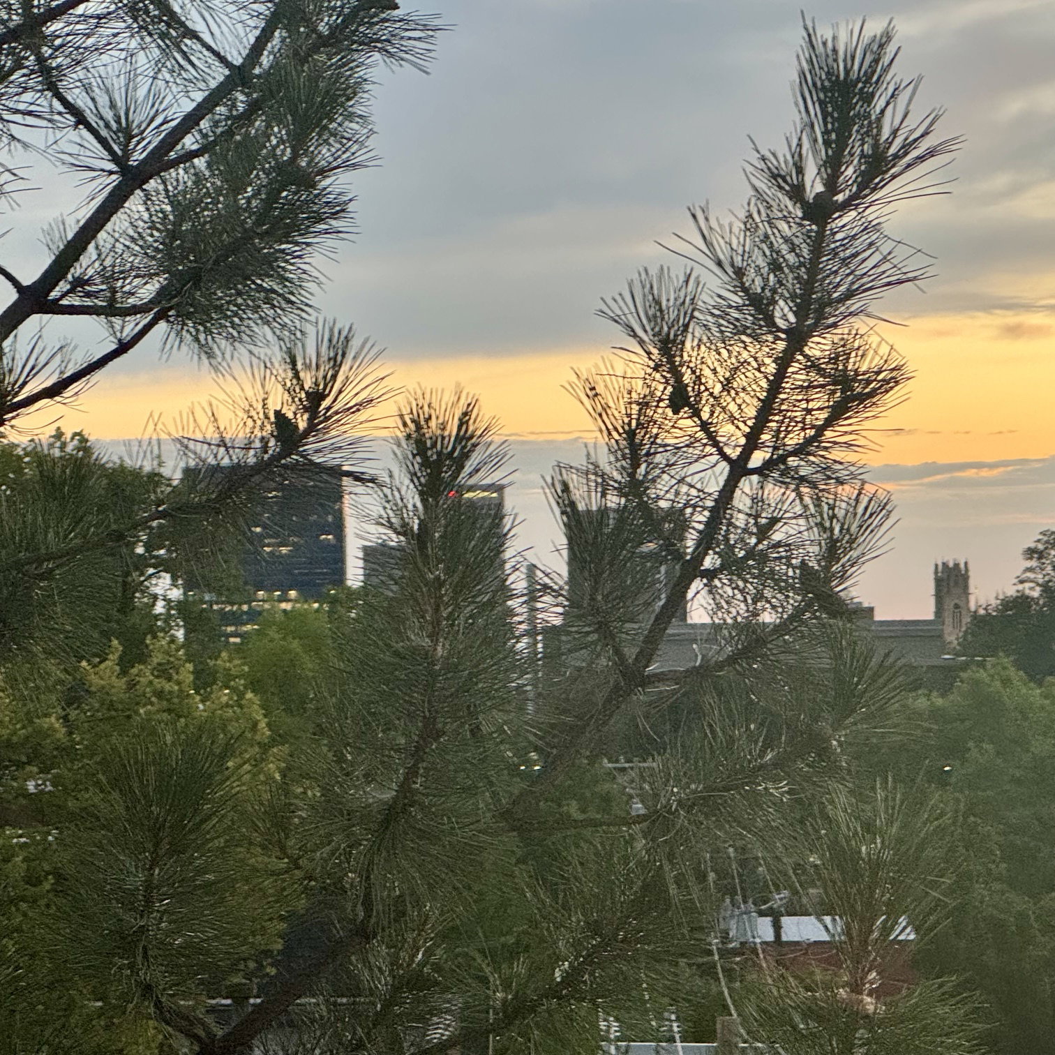 Sunset/Downtown views from the balcony