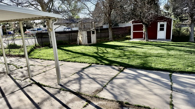 Expansive backyard featuring a manicured lawn, a detached red storage shed with a white door, and a covered patio area with a concrete surface