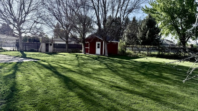 Expansive grassy lawn area featuring a red shed with a white door, mature trees, and a wooden play structure