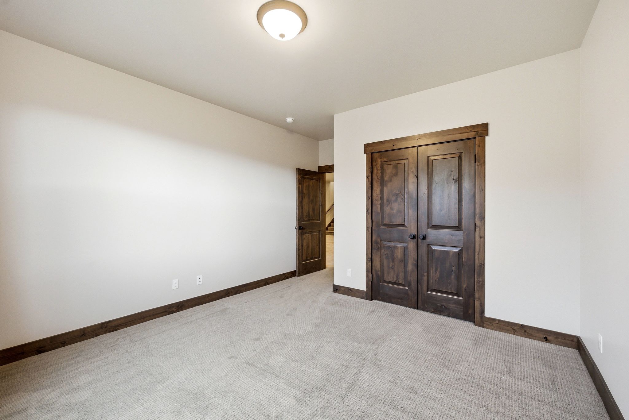 Spacious interior room featuring light gray carpet flooring, white painted walls, and dark wood-finish trim