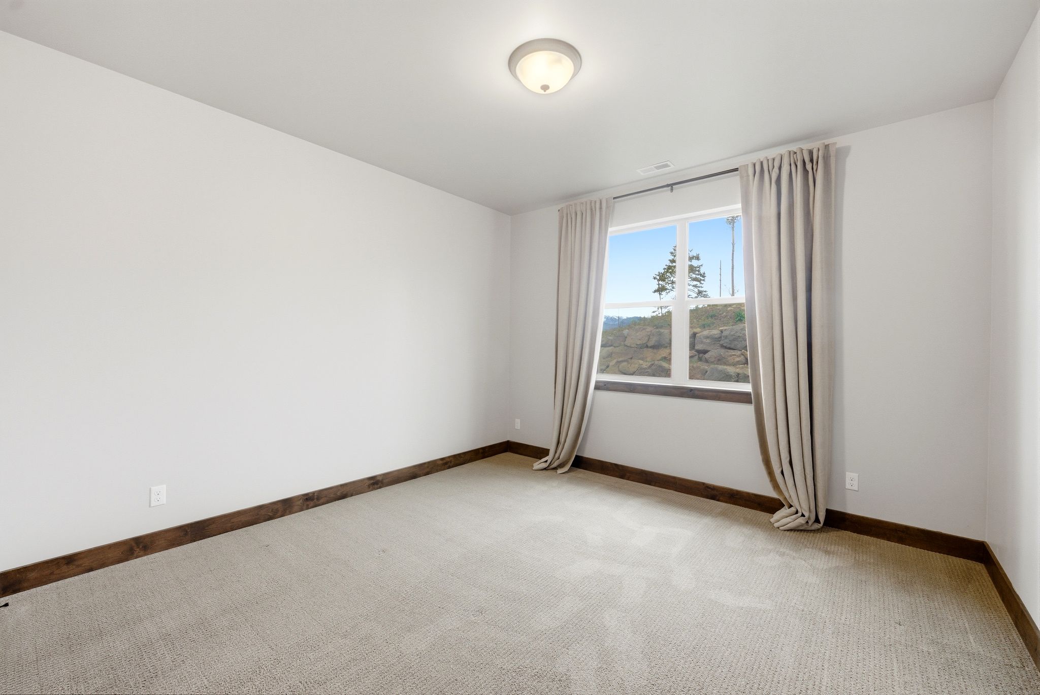 Spacious interior featuring a large window with natural light, light-toned carpeting, white walls, dark wood-finish trim, and a ceiling-mounted light fixture