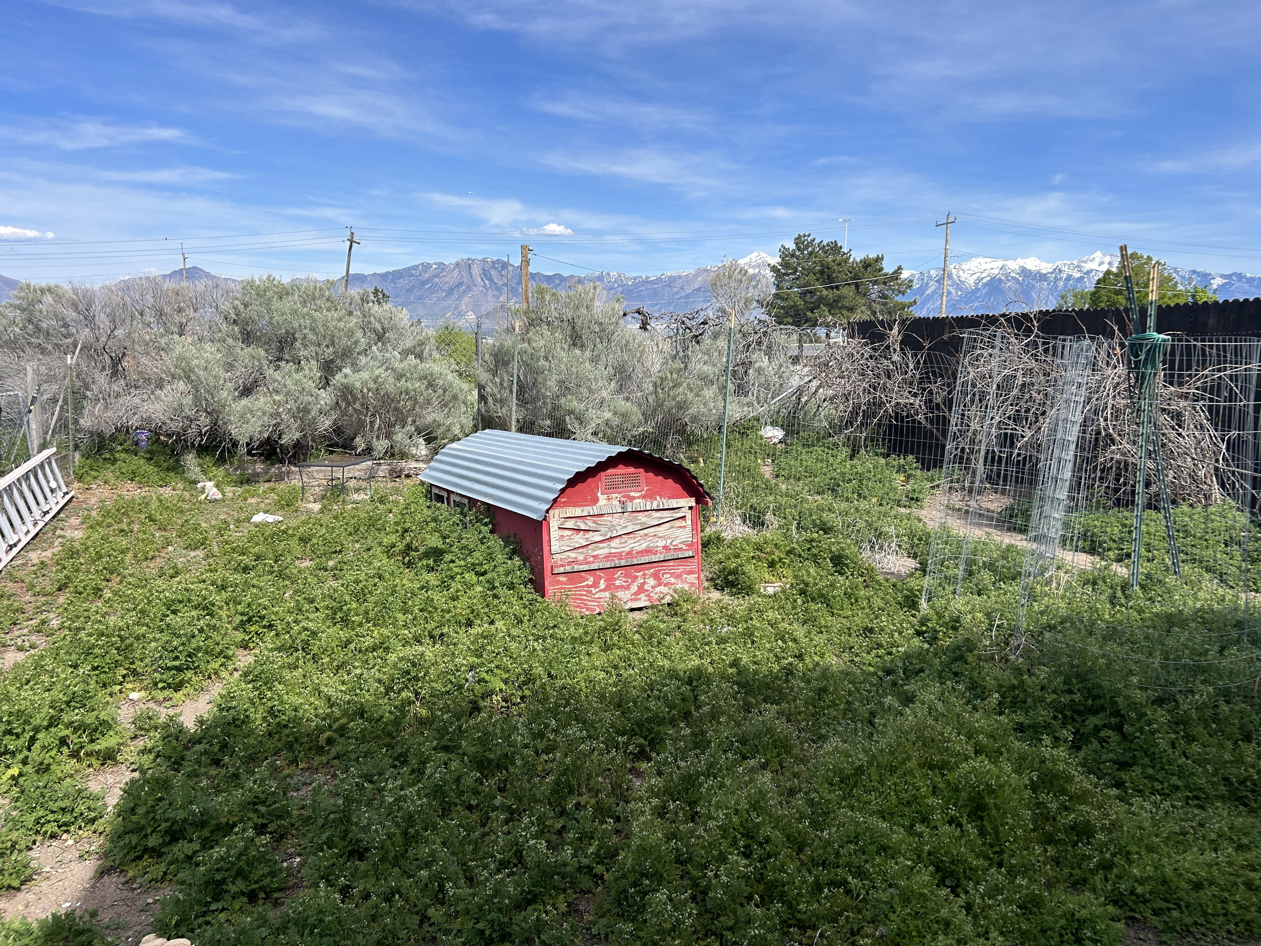 Expansive outdoor space featuring a red outbuilding with a corrugated metal roof, fencing, and mature trees