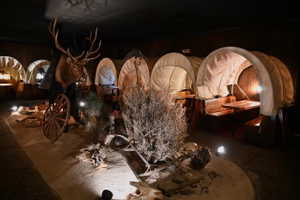 Themed interior space featuring multiple covered wagon structures, decorative flora, and a large mounted animal head