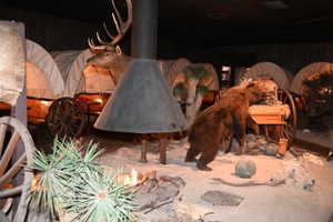 Themed interior space featuring multiple covered wagon displays, a decorative central fireplace, and various naturalistic elements