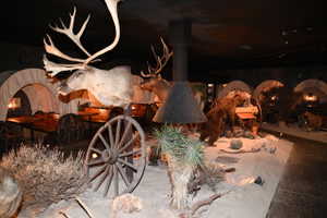 Themed interior space featuring multiple covered wagon booths with integrated seating and tables
