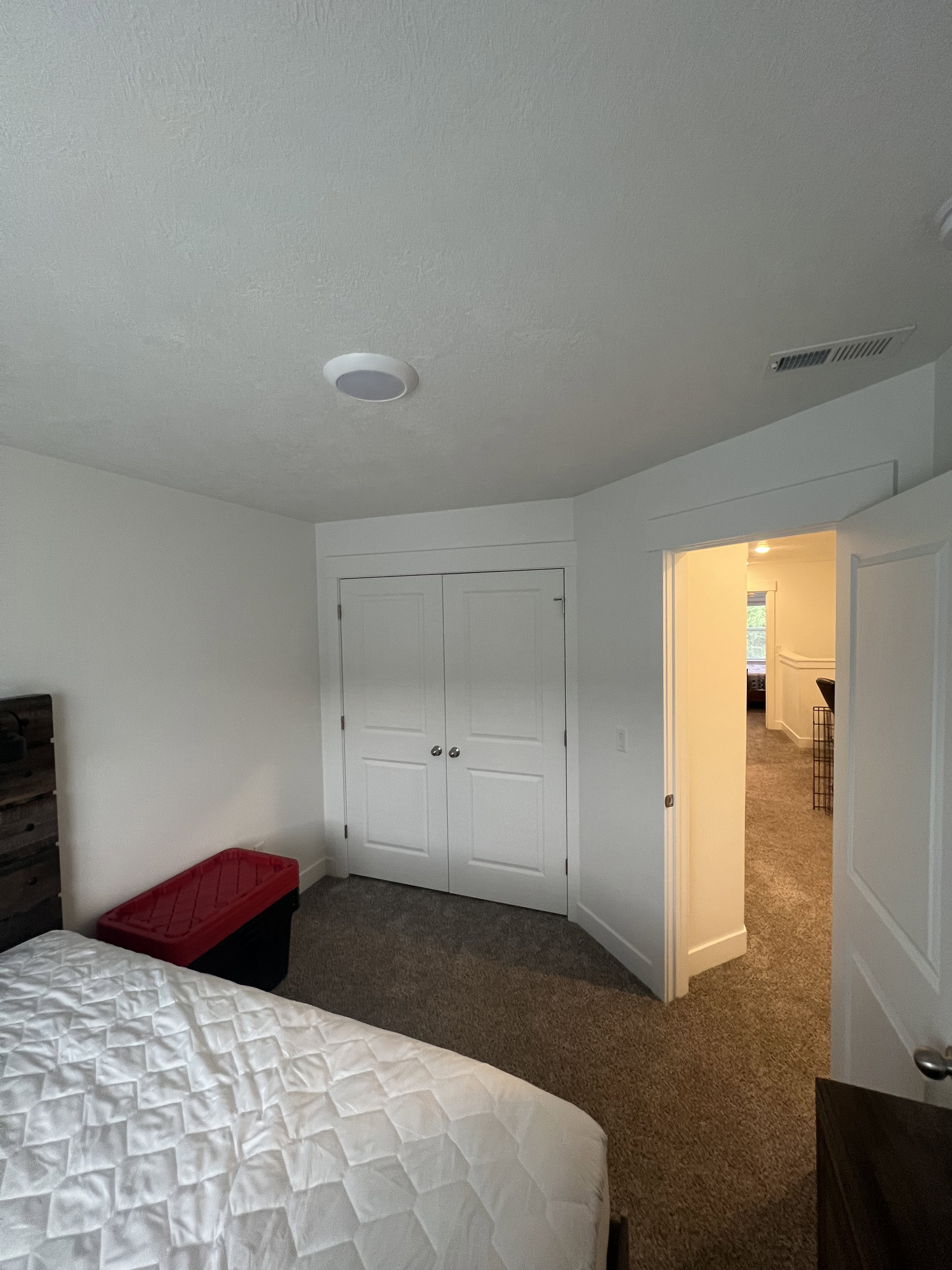 Carpeted room featuring a double-door closet, white trim, and a ceiling-mounted light fixture